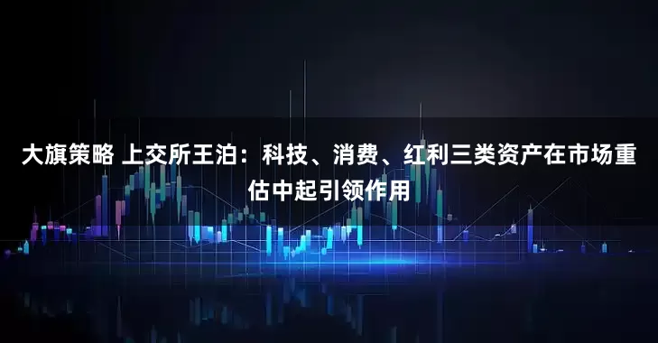 大旗策略 上交所王泊：科技、消费、红利三类资产在市场重估中起引领作用