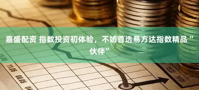 嘉盛配资 指数投资初体验，不妨首选易方达指数精品“伙伴”
