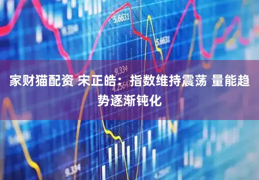 家财猫配资 宋正皓:指数维持震荡 量能趋势逐渐钝化