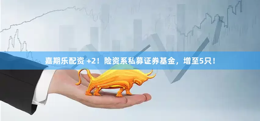 嘉期乐配资 +2！险资系私募证券基金，增至5只！