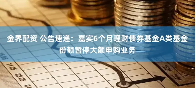 金界配资 公告速递：嘉实6个月理财债券基金A类基金份额暂停大额申购业务
